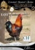 2 X CHICKEN ROOSTER & HEN CH BOERDERY (Per animal to take the lot)