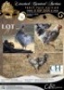 3 X CHICKEN ROOSTER CH BOERDERY (Per animal to take the lot)