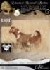 1 X IVG CAPE LOB EAR GRADED DOE XANDORR