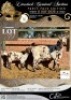 1+1 X IVG CAPE LOB EAR UNGRADED DOE HARTSVLEI BOERDERY