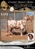 1 X IVG CAPE LOB EAR GRADED PREGNANT DOE KOEDOESKLOOF IVG