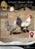 2 X CHICKEN ROOSTER & HEN RED RIBBON STUD (Per animal to take the lot)