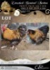 2 X CHICKEN ROOSTER & HEN LIZA-MARI JONKER (Per animal to take the lot)