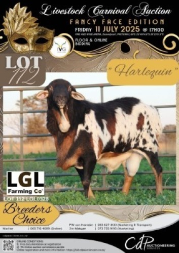 1 X PERSIE RAM LGL FARMING CO