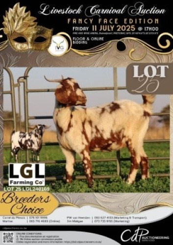 1 X IVG CAPE LOB EAR GRADED DOE LGL FARMING CO