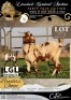 1 X IVG CAPE LOB EAR GRADED DOE LGL FARMING CO