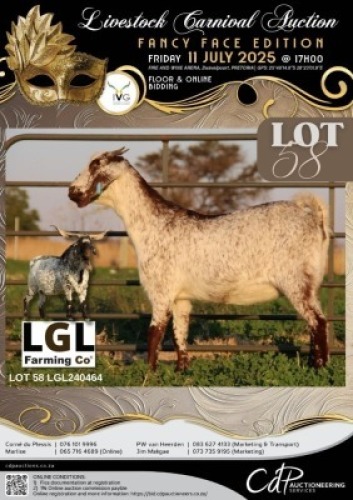 1 X IVG CAPE SPECKLED GRADED DOE LGL FARMING CO