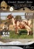 1 X IVG CAPE LOB EAR GRADED DOE LGL FARMING CO