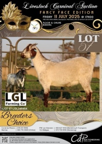 1 X IVG CAPE SPECKLED GRADED DOE LGL FARMING CO