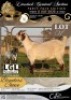 1 X IVG CAPE SPECKLED GRADED DOE LGL FARMING CO