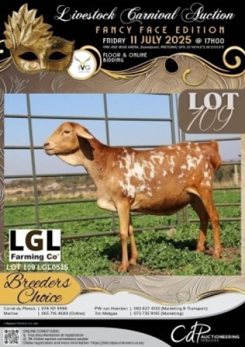 1 X PERSIE PREGNANT EWE LGL FARMING CO