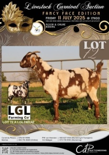 1 X IVG CAPE LOB EAR GRADED DOE LGL FARMING CO