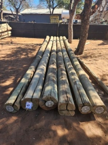 FLOOR ITEM - 1 X Pine Posts