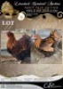 2 X CHICKEN ROOSTER & HEN LIZA-MARI JONKER (Per animal to take the lot)