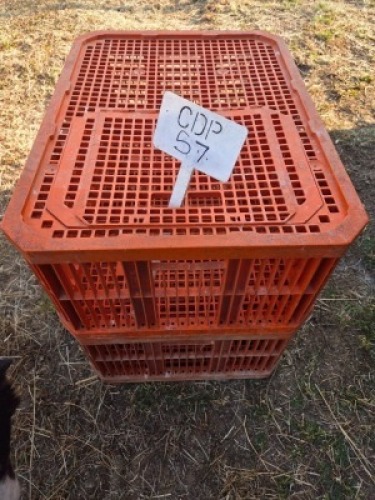 2 X CHICKEN TRANSPORT CRATES FAR THE BEST FARM (Per item to take the lot)