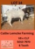 LOT 14 1 X BOER GOAT BUCK CALLIE LEMCKE FARMING