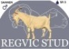 1 X SAANEN BUCK Regvic stud