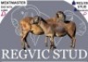 2 X MEATMASTER EWE Regvic stud