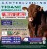 CLICK ON VIDEO LINK FOR FLIPBOOK CATALOGUE