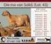 LOT 43 1X MEATMASTER RAM KERN MEATMASTERS - 3