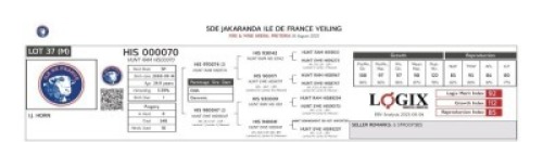 6 X ILE DE FRANCE SEMEN HAGELAND (Per straw to take the lot)