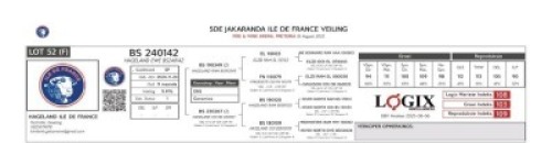 1 X ILE DE FRANCE STUD EWE HAGELAND