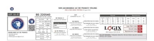 WITHDRAWN - 1 X ILE DE FRANCE STUD EWE HAGELAND
