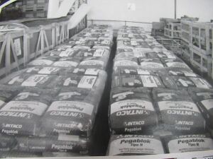 LOCAL - 625 bags - CEMENT Bidding on contents of container only