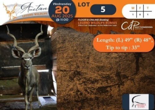 1 X Kudu M:1 Erasmus Game