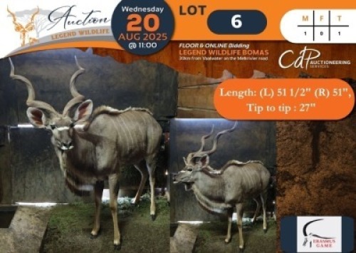 1 X Kudu M:1 Erasmus Game