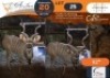 1 X Kudu M:1 Erasmus Game