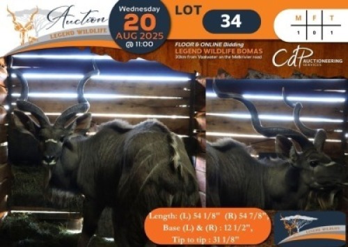 1 X Kudu M:1 Swerwers Spruit