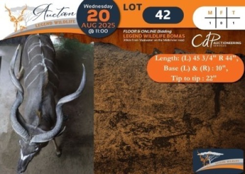 1 X Kudu M:1 Swerwers Spruit