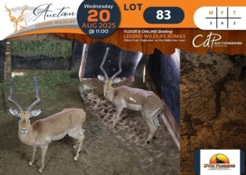 2 X Impala M:2 DVM Farming (Per Piece to take the lot/Per stuk om lot te neem)