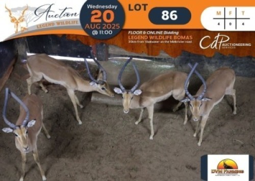 4 X impala M:4 DVM Farming (Per Piece to take the lot/Per stuk om lot te neem)