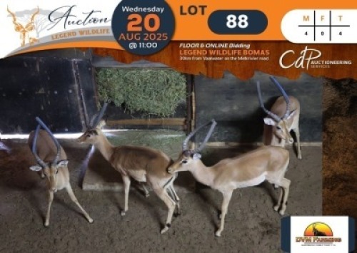 4 X impala M:4 DVM Farming (Per Piece to take the lot/Per stuk om lot te neem)