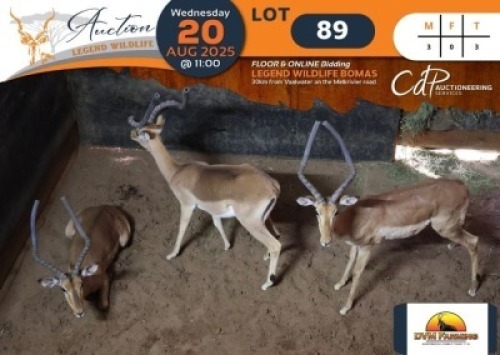 3 X Impala M:3 DVM Farming (Per Piece to take the lot/Per stuk om lot te neem)