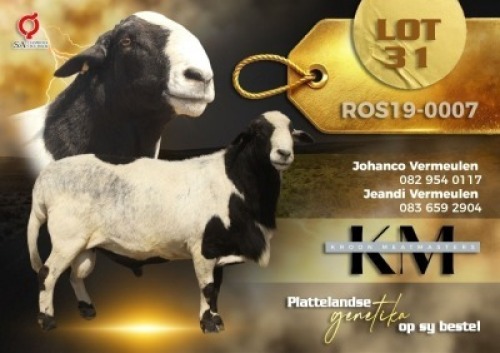 WITHDRAWN - 1 X MEATMASTER RECORDED RAM KROON MEATMASTERS