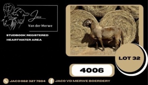 WITHDRAWN - 1 X MEATMASTER RECORDED RAM JACO VD MERWE BOERDERY