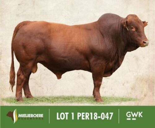 LOT 1&nbsp; : PER 180047