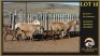 3+3 X MEATMASTER EWE Leliekrans Meatmasters (Per animal to take the lot) - 2