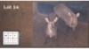 2X WATERBOK V/F:2 (Per Piece to take the lot/Per stuk om lot te neem)