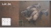 4X BLOUWILDEBEES M:1 V/F:3 (Per Piece to take the lot/Per stuk om lot te neem)