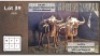 1X GOUE WILDEBEES M:1 (Per Piece to take the lot/Per stuk om lot te neem)