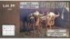 1X GOUE WILDEBEES M:1 (Per Piece to take the lot/Per stuk om lot te neem)