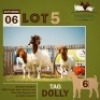 1+2 X BOER GOAT DOE & KID THABONG FARMS
