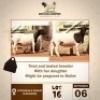 1 X BLACK HEAD DORPER EWE MOTAUNG DORPERS & BOER GOAT STUD