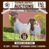 1+1 X BOER GOAT DOE & KID ONLC BOER GOAT STUD