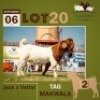 1 X BOER GOAT BUCK THABONG FARMS