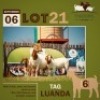 1+2 X BOER GOAT DOE & KID THABONG FARMS